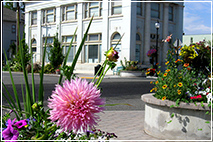 Galleries - City of Echo